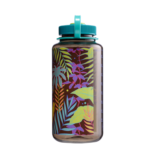 682023-0212 蕨類 限量