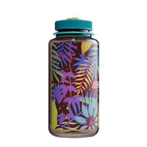 682023-0212 蕨類 限量