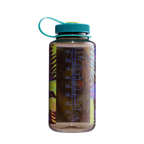 682023-0212 蕨類 限量