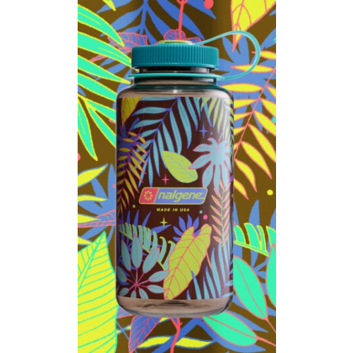 682023-0212 蕨類 限量